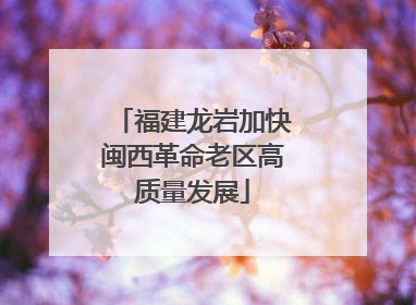 福建龙岩加快闽西革命老区高质量发展