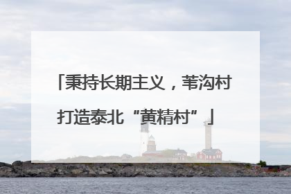 秉持长期主义，苇沟村打造泰北“黄精村”