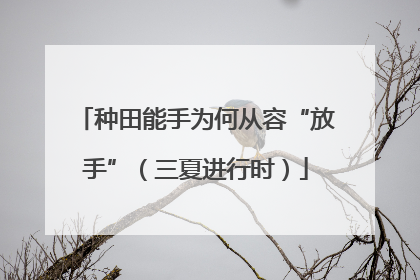 种田能手为何从容“放手”（三夏进行时）