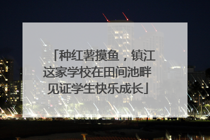 种红薯摸鱼，镇江这家学校在田间池畔见证学生快乐成长
