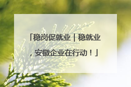 稳岗促就业｜稳就业，安徽企业在行动！