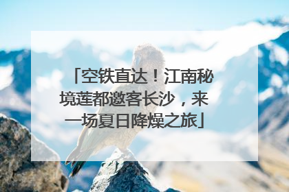 空铁直达！江南秘境莲都邀客长沙，来一场夏日降燥之旅
