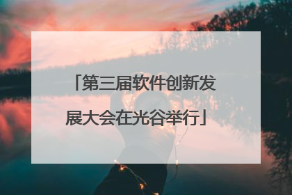 第三届软件创新发展大会在光谷举行