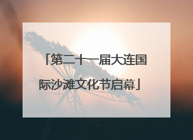 第二十一届大连国际沙滩文化节启幕