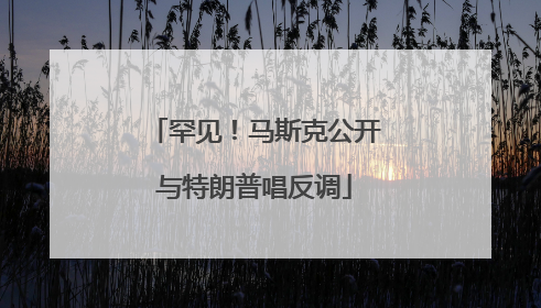 罕见！马斯克公开与特朗普唱反调