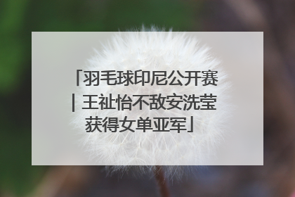 羽毛球印尼公开赛｜王祉怡不敌安洗莹 获得女单亚军