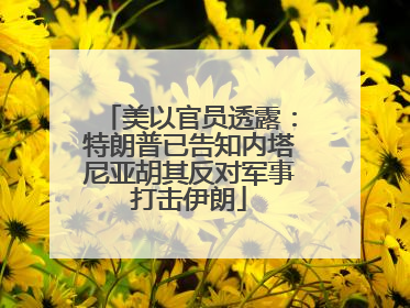 美以官员透露：特朗普已告知内塔尼亚胡其反对军事打击伊朗