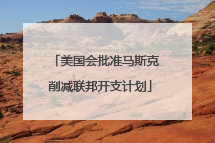 美国会批准马斯克削减联邦开支计划