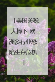 美国关税大棒下 欧洲多行业恐陷生存危机