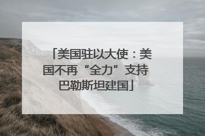 美国驻以大使：美国不再“全力”支持巴勒斯坦建国