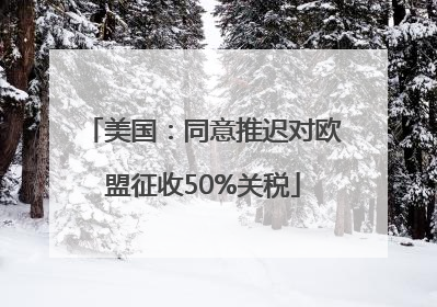 美国：同意推迟对欧盟征收50%关税