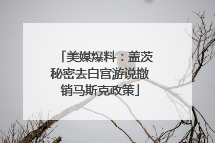 美媒爆料：盖茨秘密去白宫游说撤销马斯克政策