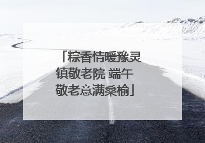 粽香情暖豫灵镇敬老院 端午敬老意满桑榆