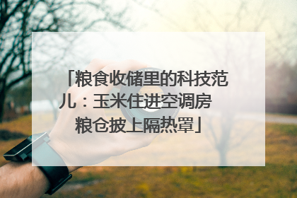粮食收储里的科技范儿：玉米住进空调房 粮仓披上隔热罩