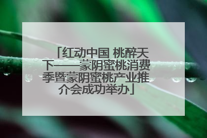 红动中国 桃醉天下——蒙阴蜜桃消费季暨蒙阴蜜桃产业推介会成功举办