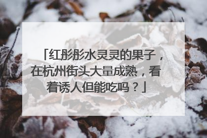 红彤彤水灵灵的果子，在杭州街头大量成熟，看着诱人但能吃吗？