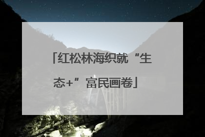 红松林海织就“生态+”富民画卷
