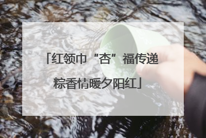 红领巾“杏”福传递 粽香情暖夕阳红