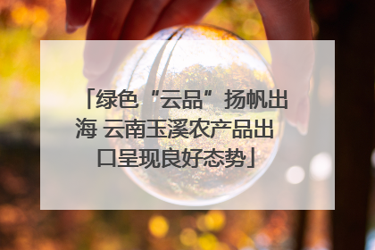 绿色“云品”扬帆出海 云南玉溪农产品出口呈现良好态势