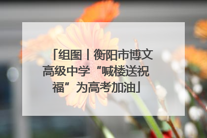 组图丨衡阳市博文高级中学“喊楼送祝福”为高考加油
