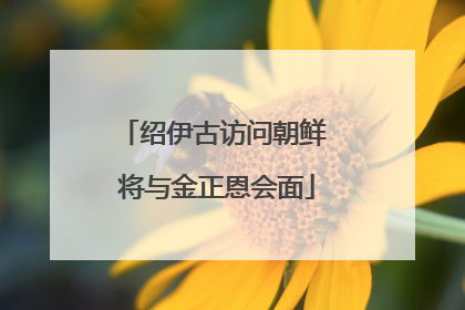 绍伊古访问朝鲜 将与金正恩会面