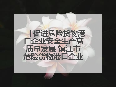 促进危险货物港口企业安全生产高质量发展 镇江市危险货物港口企业安全联盟成立