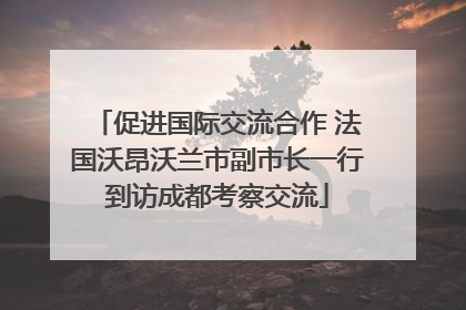 促进国际交流合作 法国沃昂沃兰市副市长一行到访成都考察交流