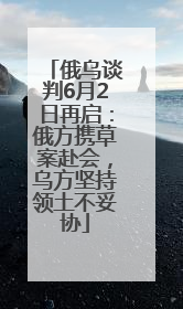 俄乌谈判6月2日再启：俄方携草案赴会，乌方坚持领土不妥协