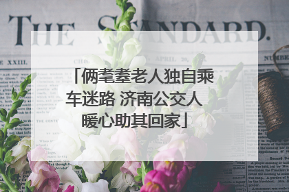 俩耄耋老人独自乘车迷路 济南公交人暖心助其回家
