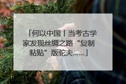 何以中国丨当考古学家发现丝绸之路“复制粘贴”版驼夫……