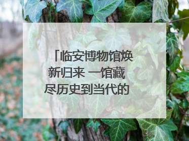 临安博物馆焕新归来 一馆藏尽历史到当代的千年生活图鉴