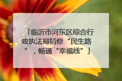 临沂市河东区综合行政执法局精修“民生路”，畅通“幸福线”
