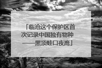 临沧这个保护区首次记录中国独有物种——黑顶蛙口夜鹰