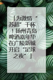 为激情“苏超”干杯！扬州青岛啤酒嘉年华在广陵新城开启“足球之夜”