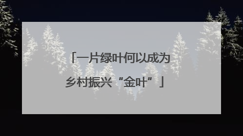 一片绿叶何以成为乡村振兴“金叶”