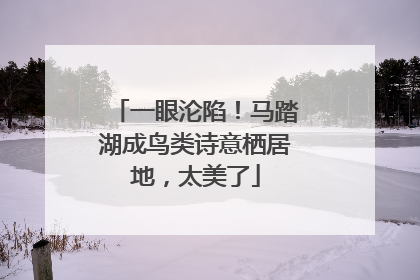 一眼沦陷！马踏湖成鸟类诗意栖居地，太美了