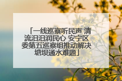 一线巡察听民声 清流汨汨润民心 安宁区委第五巡察组推动解决塘坝通水难题