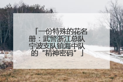 一份特殊的花名册：武警浙江总队宁波支队镇海中队的“精神密码”