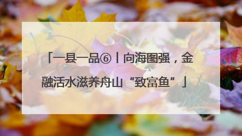 一县一品⑥丨向海图强，金融活水滋养舟山“致富鱼”