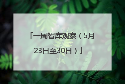 一周智库观察（5月23日至30日）