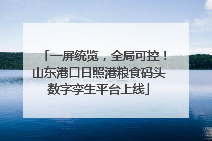一屏统览，全局可控！山东港口日照港粮食码头数字孪生平台上线