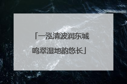 一泓清波润东城 鸣翠湿地韵悠长