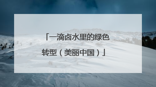 一滴卤水里的绿色转型（美丽中国）