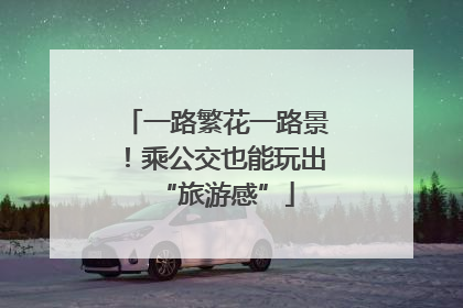 一路繁花一路景！乘公交也能玩出“旅游感”