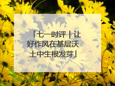 七一时评｜让好作风在基层沃土中生根发芽