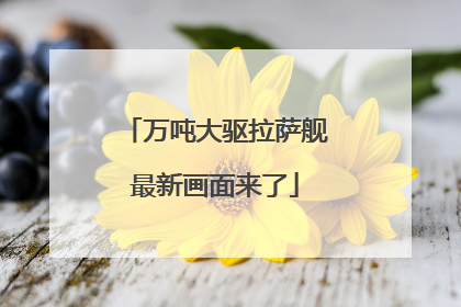 万吨大驱拉萨舰最新画面来了
