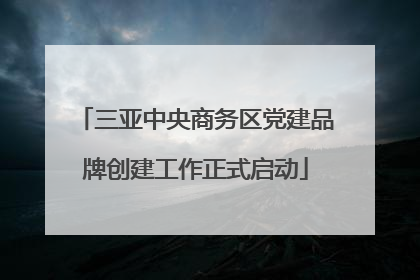 三亚中央商务区党建品牌创建工作正式启动