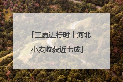 三夏进行时丨河北小麦收获近七成