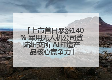 上市首日暴涨140% 军用无人机公司登陆纽交所 AI打造产品核心竞争力