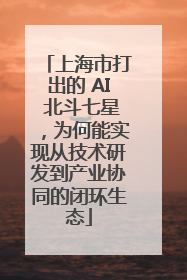 上海市打出的 AI 北斗七星，为何能实现从技术研发到产业协同的闭环生态
